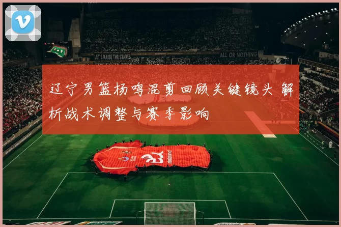 辽宁男篮杨鸣混剪回顾关键镜头 解析战术调整与赛季影响
