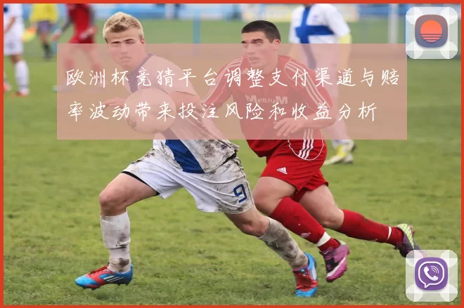 欧洲杯竞猜平台调整支付渠道与赔率波动带来投注风险和收益分析