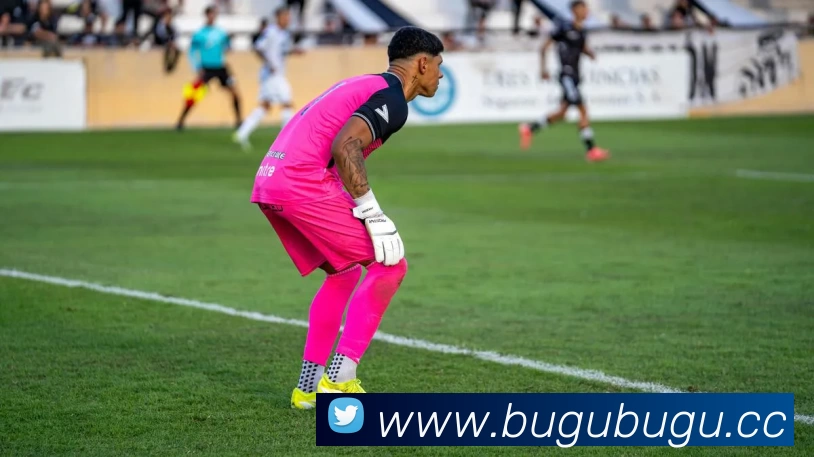 爱体育(中国)官方网站 - 登录入口发展历程