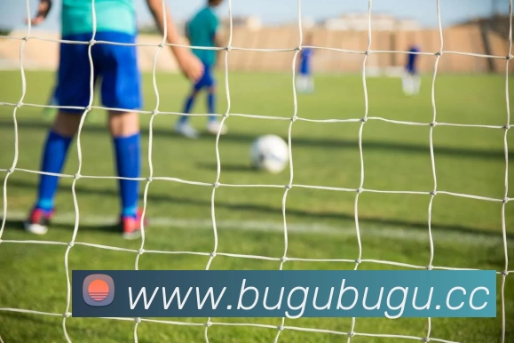 梅西领衔阿根廷世界杯夺冠之路回顾决赛加时点球鏖战夺冠